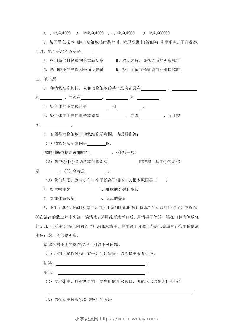 图片[2]-七年级上册生物第二单元第一章第三节试卷及答案(Word版)-六八学科资料网