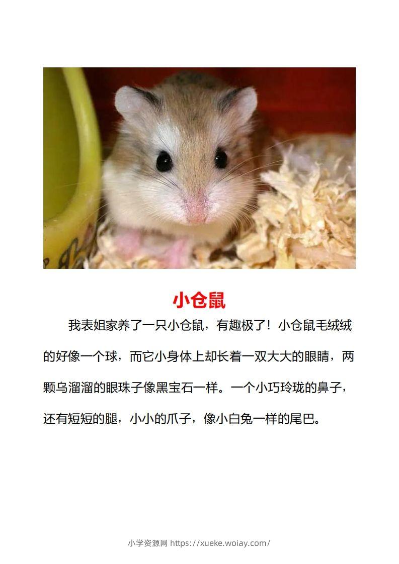 图片[2]-二年级上册语文口语交际一“有趣的动物”指导及范文-六八学科资料网