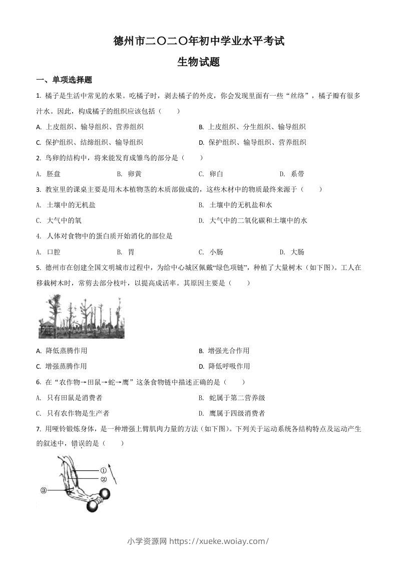 山东省德州市2020中考生物试题（空白卷）-六八学科资料网