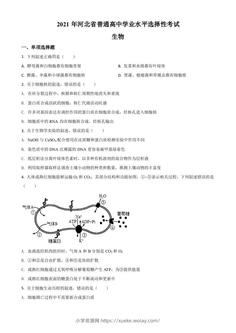2021年高考生物试卷（河北）（空白卷）-六八学科资料网