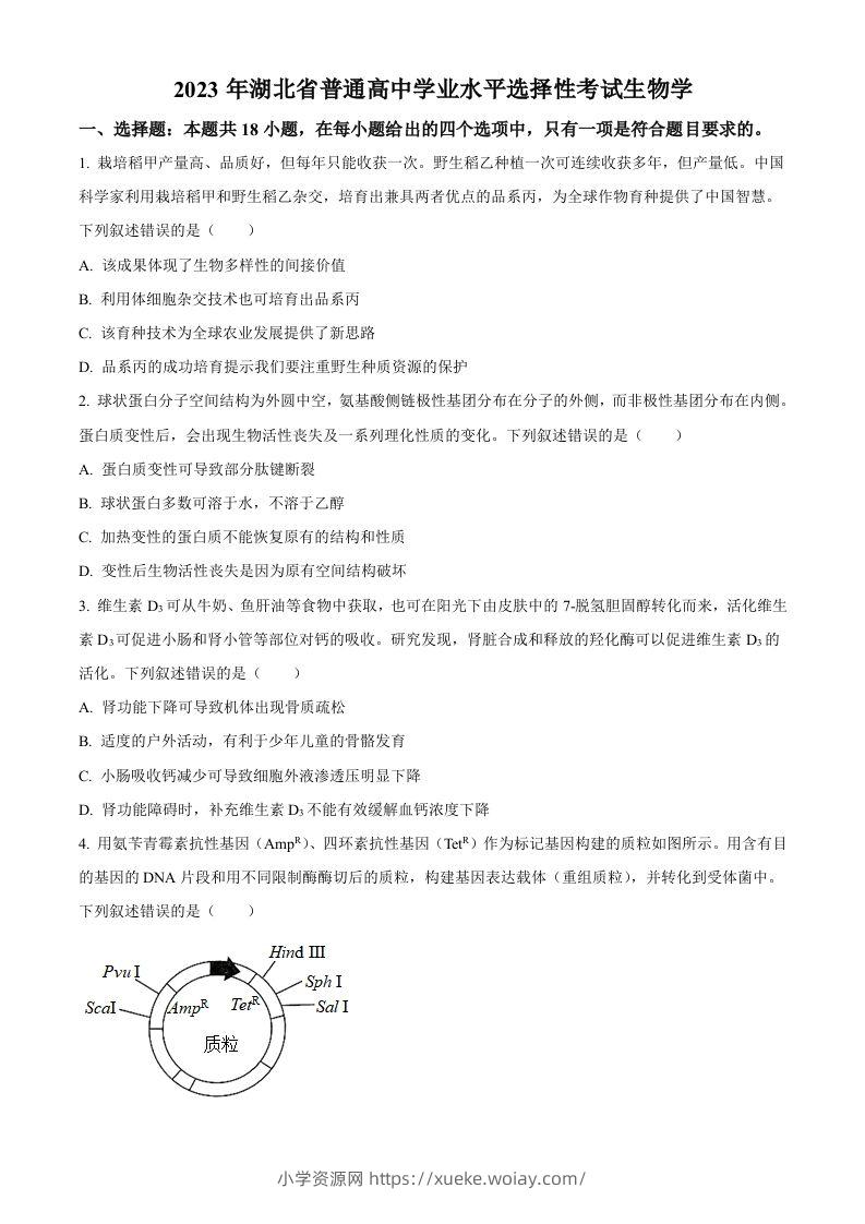 2023年高考生物试卷（湖北）（空白卷）-六八学科资料网