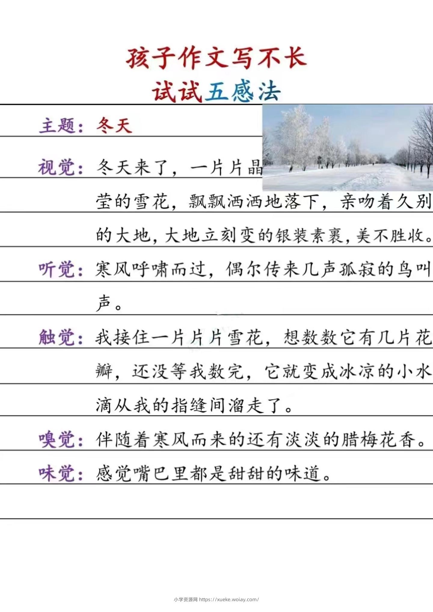 三上语文-扩句法和五感法-六八学科资料网