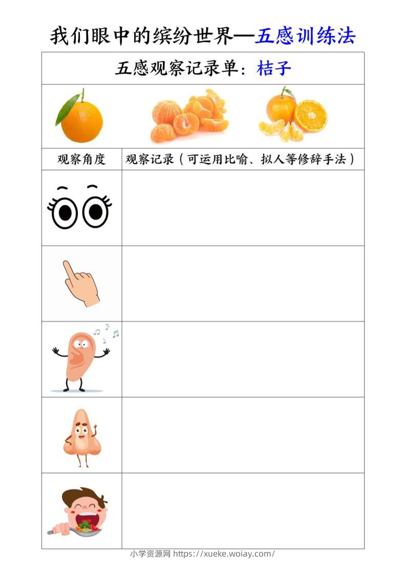三上语文-第五单元五感训练法-六八学科资料网