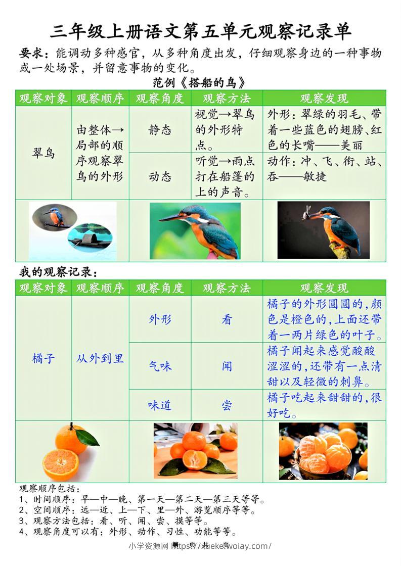 三上语文第五单元观察记录单（空白+答案14页）-六八学科资料网